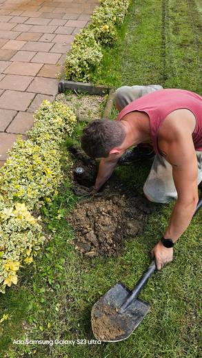 Öntözés referencia 7