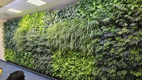 Zöld fal referencia munka 2 - Czinke Attila e.v. Nyíregyháza